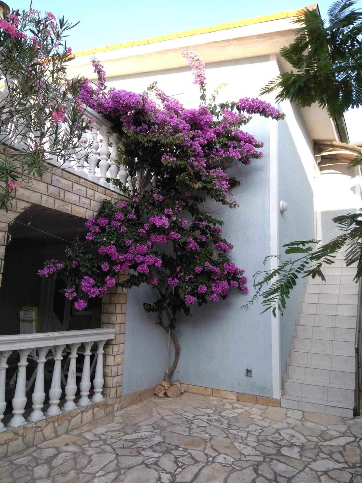 Apartmani Korade Vir Exterior foto