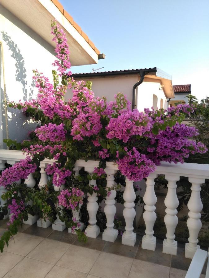 Apartmani Korade Vir Exterior foto